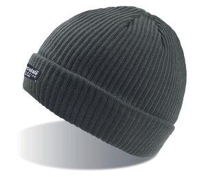 Atlantis AT102 - Gorro com forro thinsulado Grey